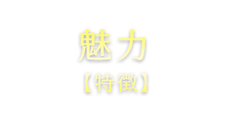 魅力（特徴）