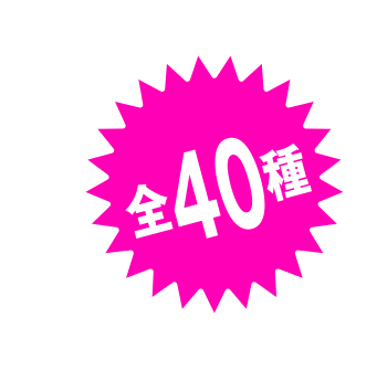 全40種